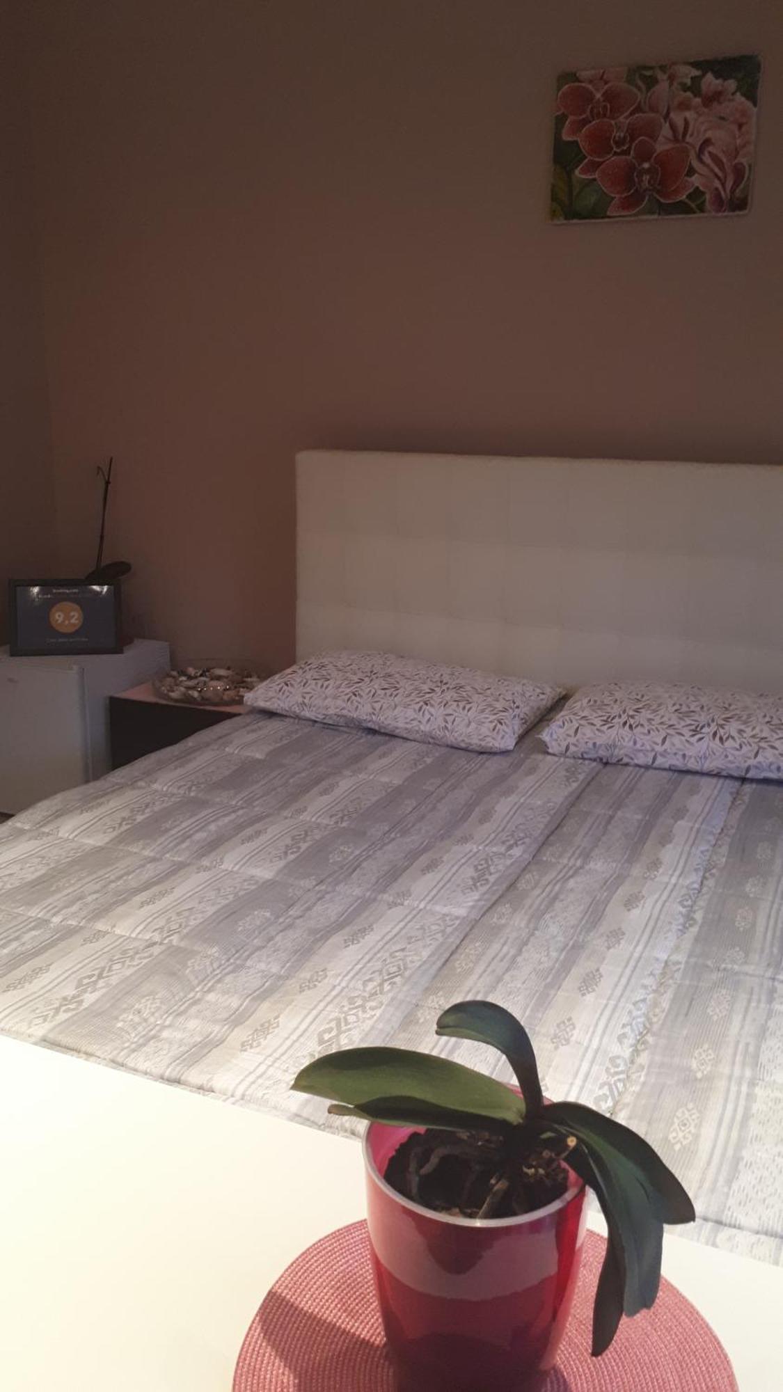 Casa Delle Orchidee Hotel Alba  Cameră foto